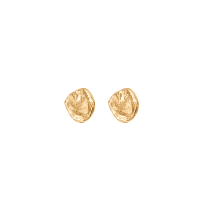 Terra Stud earrings